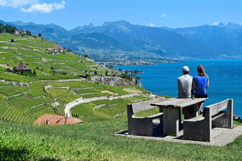 A Scenic Hike through the Vineyards of Lavaux, Switzerland