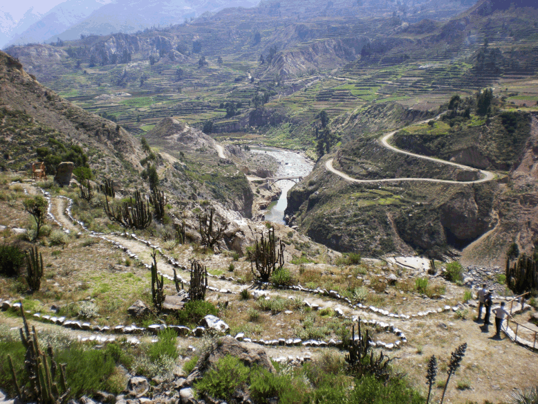 Peru and Bolivia in 3 weeks - Trekking Cañon del Colca