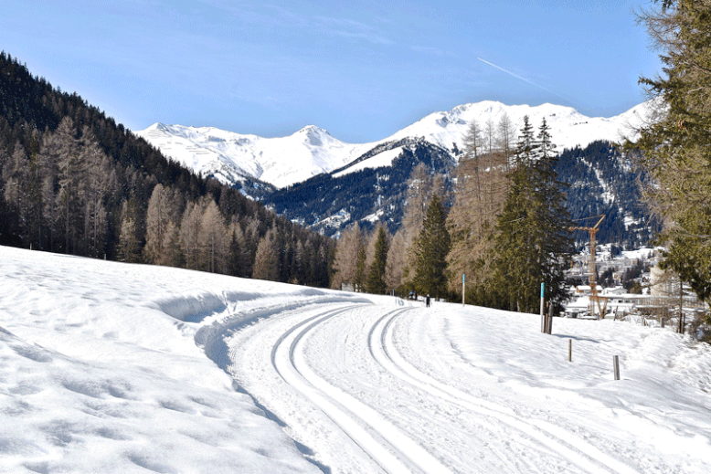 What to Do in Switzerland in Winter - Cross-country Skiing in Davos