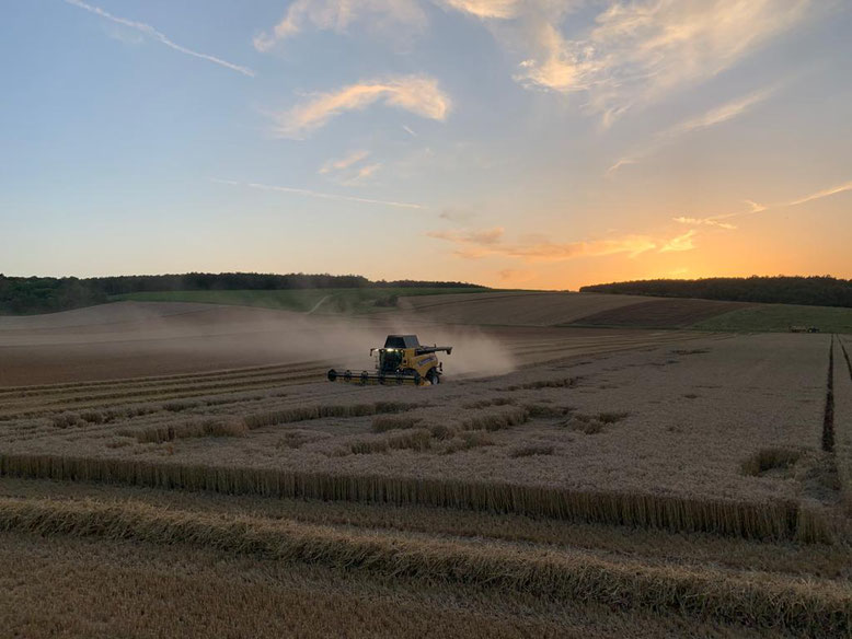 Démonstration de moissonneuse-batteuse New Holland dans l'Yonne, la Nièvre, la Côte d'Or