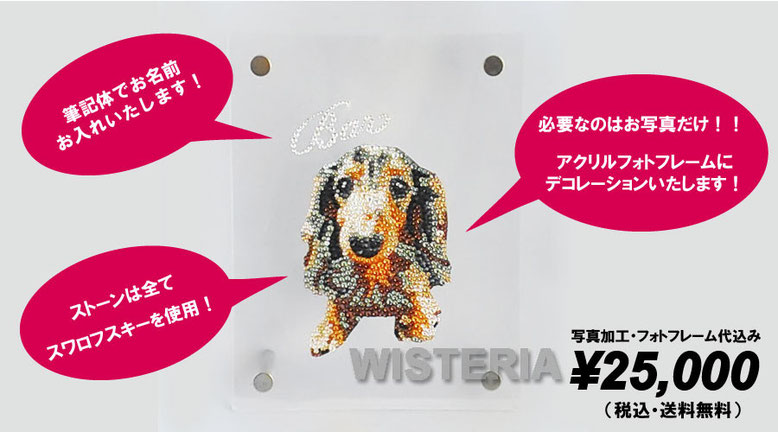 愛犬・愛猫　ペット　スワロフスキーポートレート