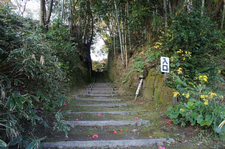 山茶花とつわぶきが苔むした山門跡に色を添えている。奧の石段は手彫り。