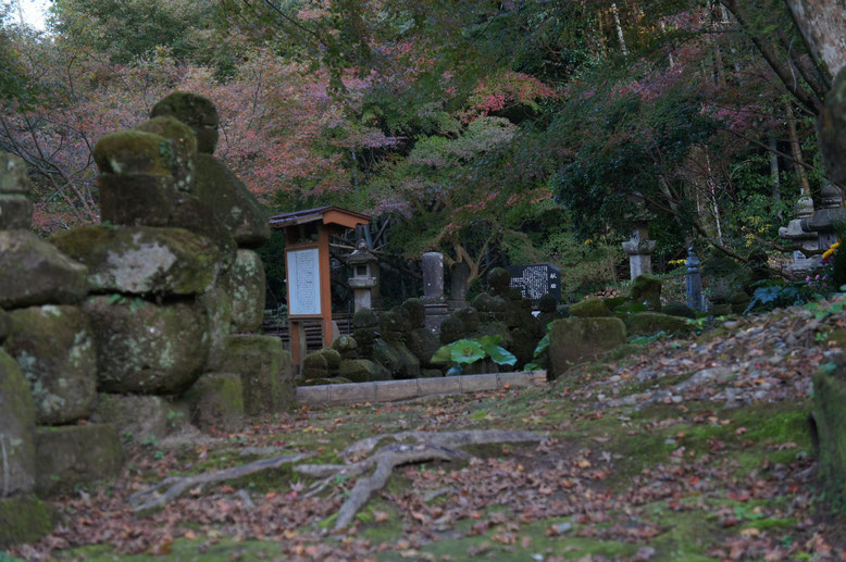 修復された石塔群と楓など