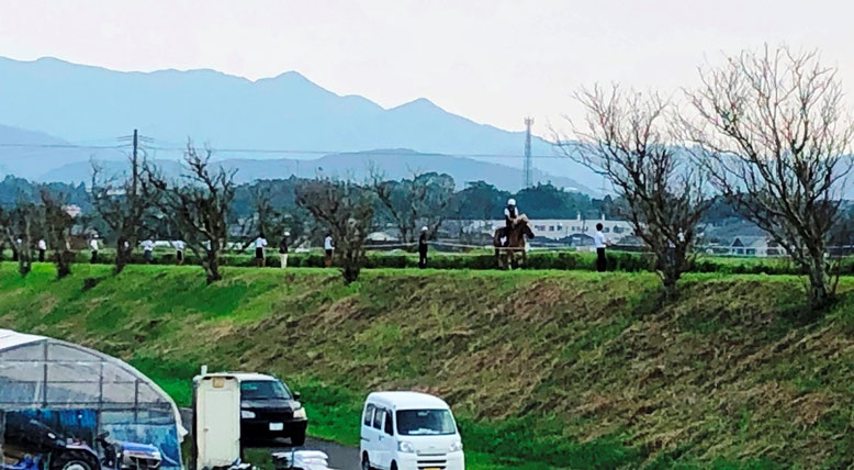 田んぼの中の土手に大勢の人と馬が。