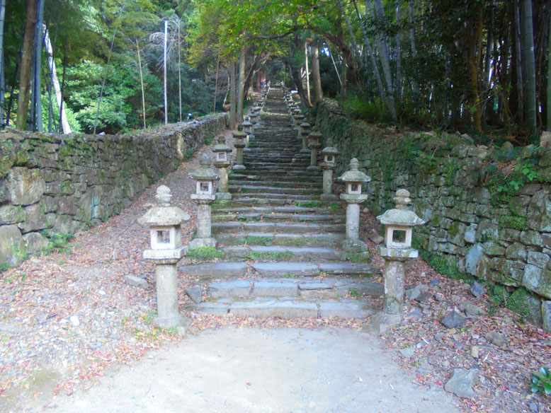 また階段!