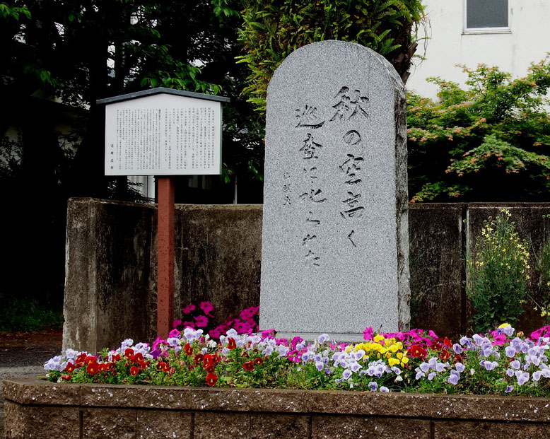 「秋の空高く　巡査に　叱られた」