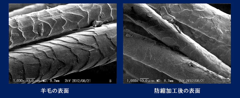 ディラン防縮加工前と後の比較