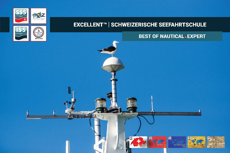 Möwe auf Schiffsantenne vor blauem Himmel – Sinnbild der EXCELLENT™ Programme der Schweizerischen Seefahrtschule™, die Wissen, Sicherheit und nautische Kompetenz verbinden