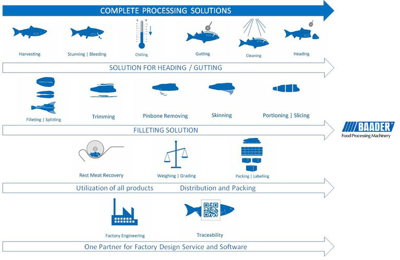 IB-Solutions help you with your fish processing needs. 