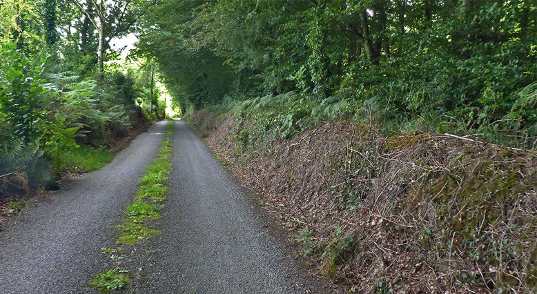 Auf kleinsten Sträßchen geht es zurück nach Kilfenora.
