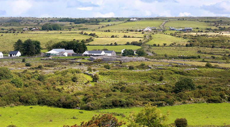 Streusiedlung Carron mit dem Ringwall des Caherconnell Stone Forts. Das Fort passt sich so harmonisch in die Landschaft ein, dass man aus der Ferne schon zweimal hinschauen muss, um es zu erkennen.