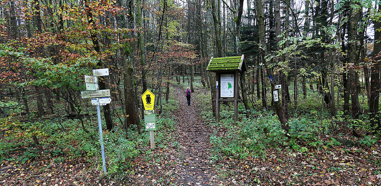 Zugang zum Schafstein an der Kreisstraße K38, ca. 1 km oberhalb der Bundesstraße 284.