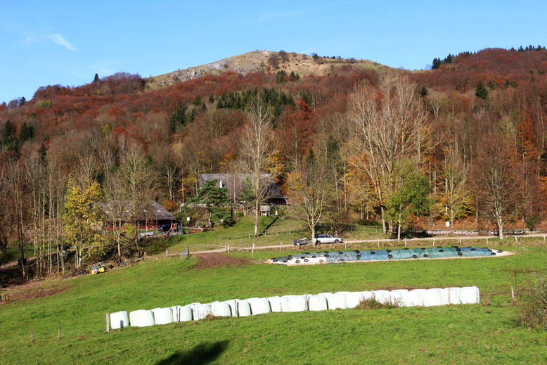 Blick vom Wanderweg oberhalb des Parkplatzes in Richtung Guckaisee und Pferdskopf.