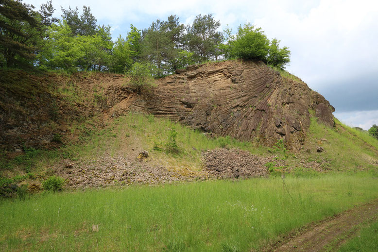 Säulenbasalt am Eingang des ehemaligen Basaltbruchs am Lindenstumpf.