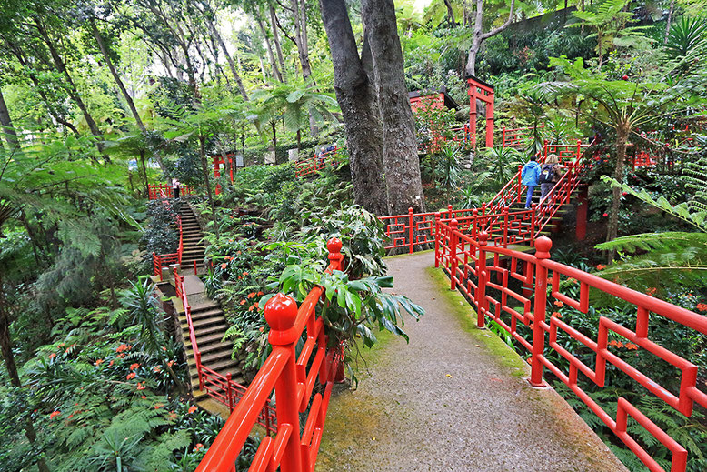 Japanischer Garten im Tropischen Garten Monte Palace.