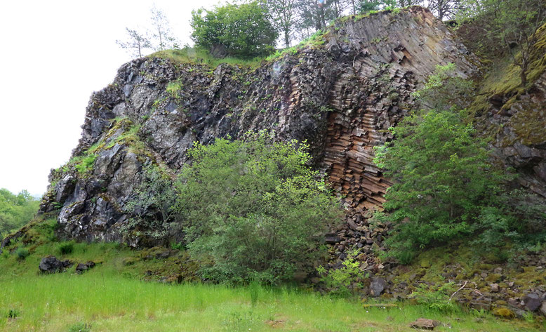 Basaltsäulenwand auf der Westseite des ehemaligen Steinbruchs.
