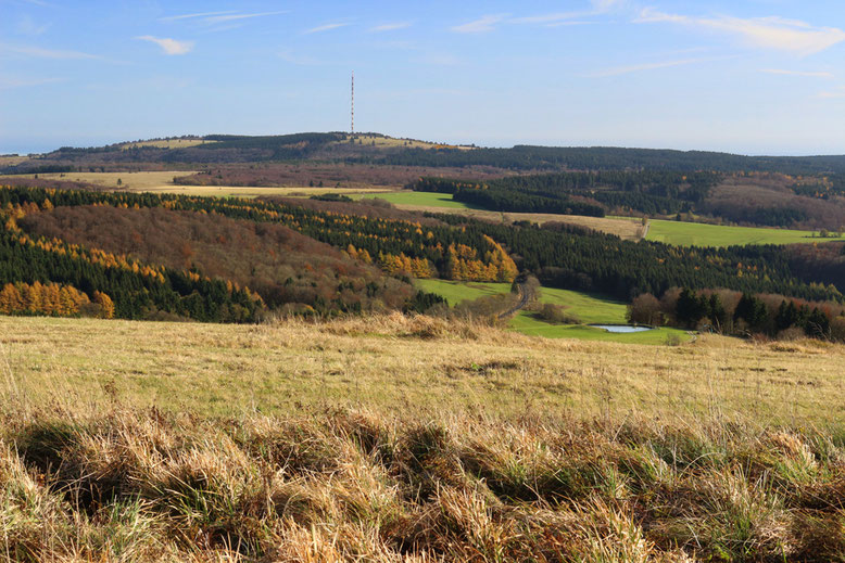 Blick zum Heidelstein im Südosten der Wasserkuppe