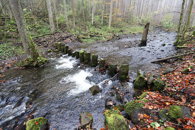 Elsbach etwas oberhalb der Brücke.