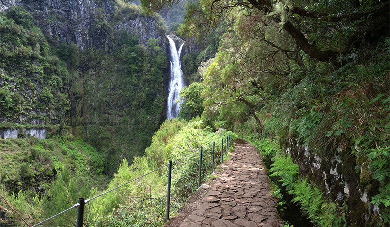 Risco-Wasserfall, Madeira.