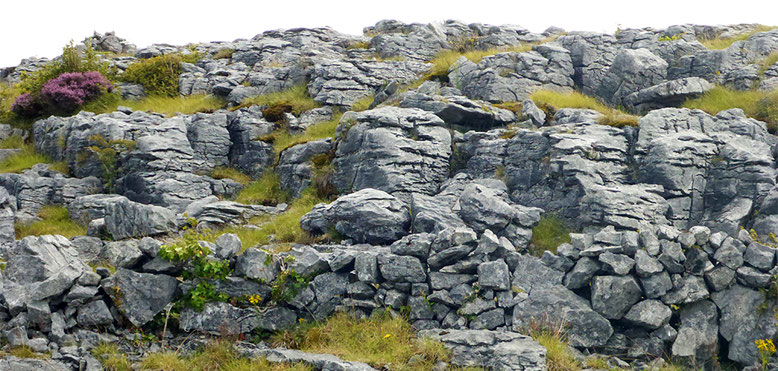 Karst im Umfeld des Burren Nationalparks. 