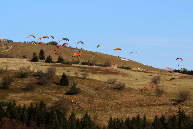 Gleitschirmflieger unterhalb der Wasserkuppe 