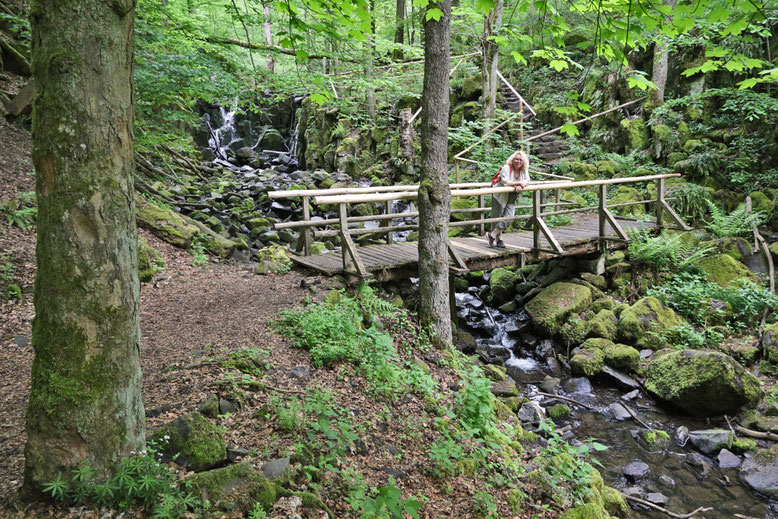 Steg unterhalb des Wasserfalls.