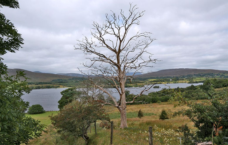 Straße entlang der Südgrenze des Glenveagh National Park.