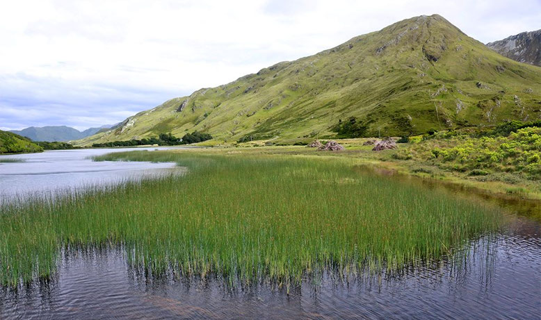 Pollacapall Lough südöstlich der Nationalstraße N59  und Kylemore Abbey.