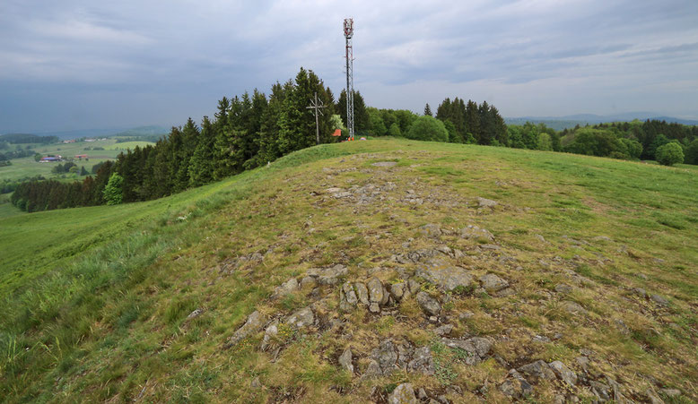 Gipfelkreuz kurz unterhalb der weitgehend kahlen Kuppe des Weiherberges. 