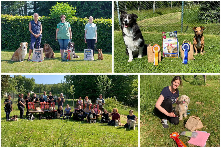 Hoopers-Turniere in Bünde und Soest, sowie die Teilnehmer KG-M Agility und Tessina mit Cody