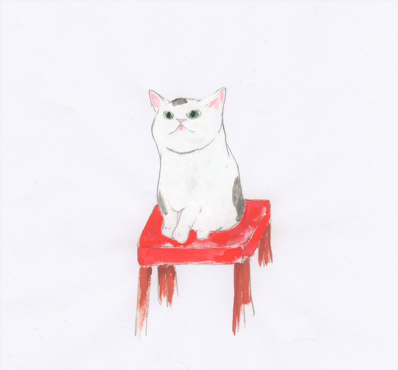 猫・猫イラスト・猫雑貨・白猫