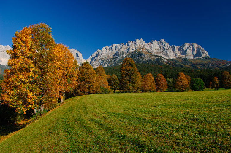 Bunter Blätterwald im Herbst; Wandersaison in Tirol