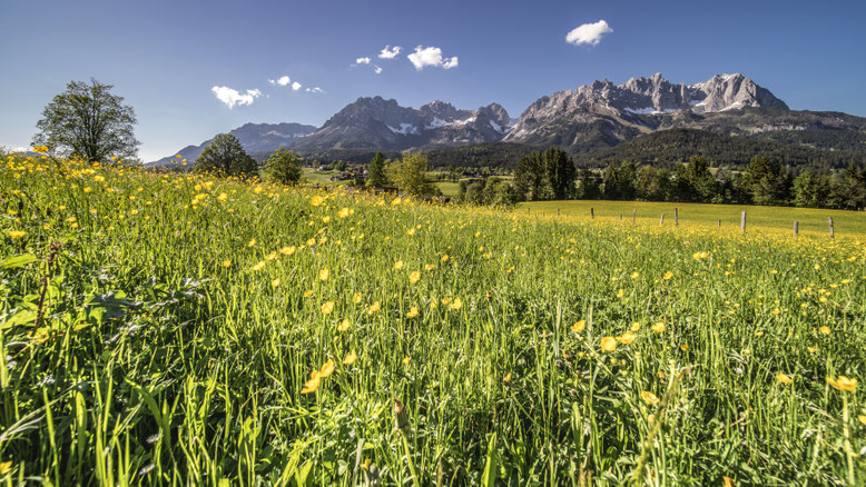 Spring time at Wilder Kaiser Region