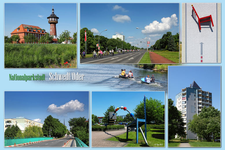 Filmforum Schwedt Schwedt/Oder Filmforum Schwedt Schwedt/Oder