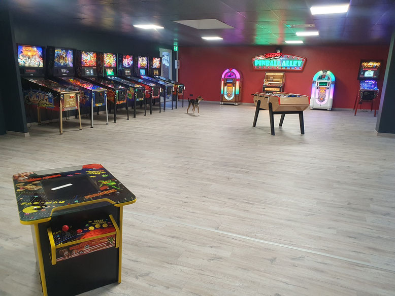 "jeux de cafés" arcade flipper billard juke box baby-foot occasion magasin exposition Arabian-nights Hurricane Dracula Police-force Médiéval-madness Indianapolis500 Banzaï-run Fishtales jack-bot Monster-bash Williams stern sound leisure game of thrones ki