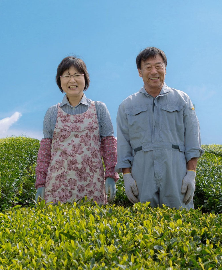有機肥料・減農薬の緑茶・粉末茶を使ったOEM・PB商品、オリジナル商品ならお任せ！美濃上石津の茶園、平塚香貴園