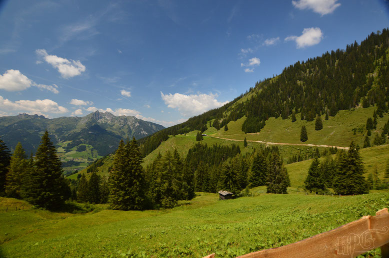 Blick von der Karseggalm