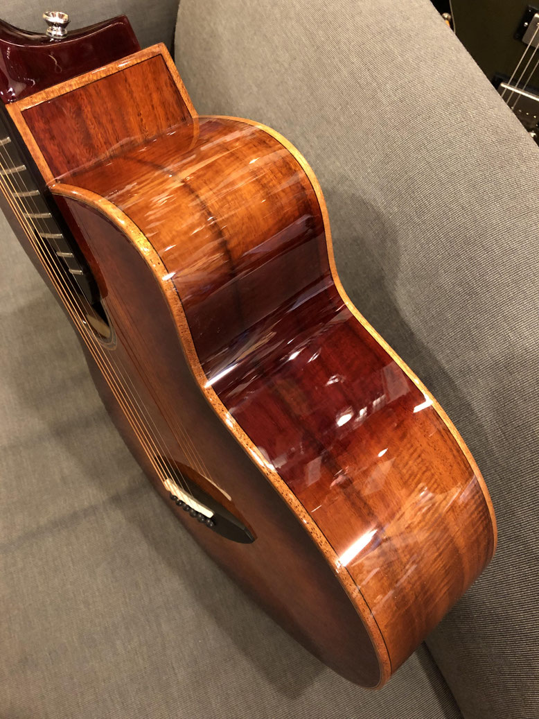 aNueNue発、杉田健二サウンドコンセプトの逸品！ - guitarshoptantan