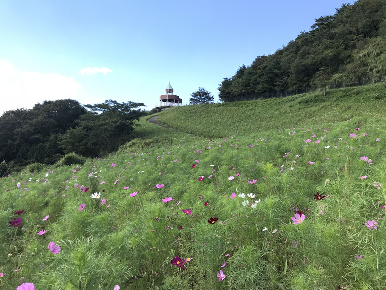 翠波高原