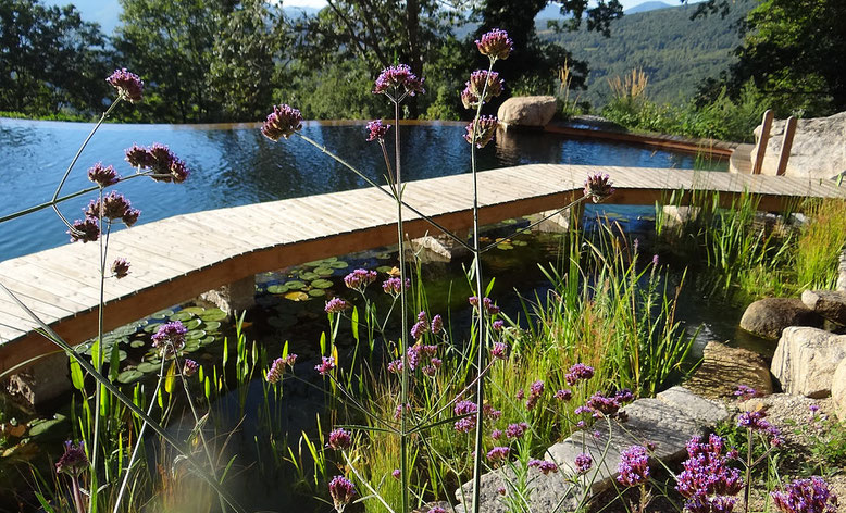 Au bord de la piscine natirelle de notre lieu de stage de yoga