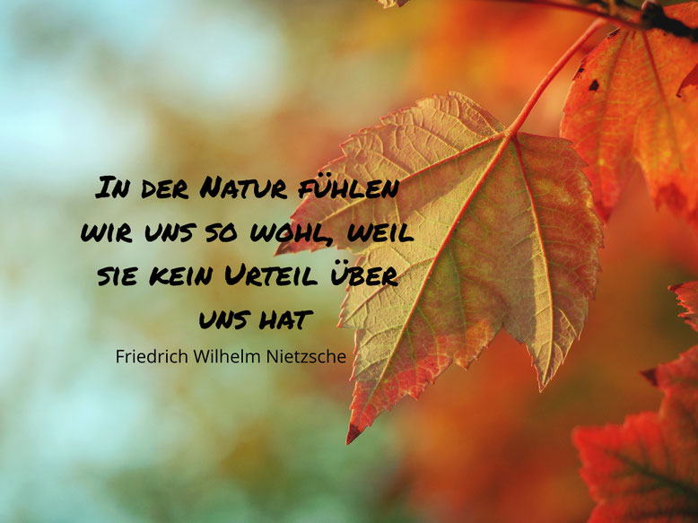 Ein gefärbtes Blatt steht für die Bedingungsfreiheit in der Natur