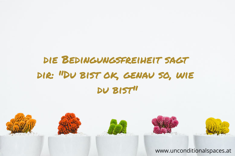 Kleine, bunte Kakteen beschreiben die Bedingungsfreiheit, die sagt, du bist ok, genau so, wie du bist.