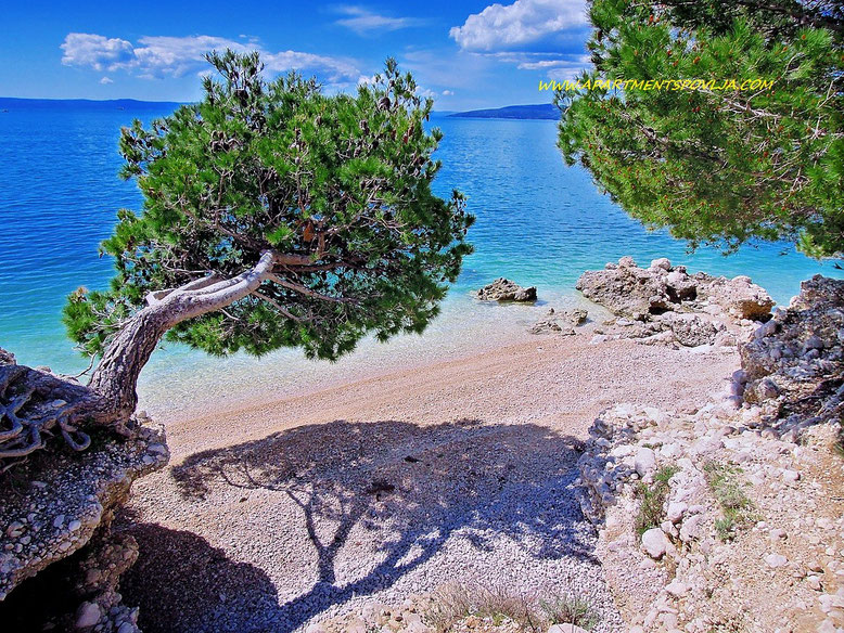 #makarska #makarskariviera #makarskabeaches #adriatic #sea #mare #meer #dalmatia #dalmazia #dalmatien #croatia #croazia #chorwacja #kroatien #apartmentspovlja #holidayapartments #vacation #vacanze #urlaub 