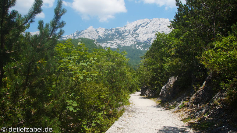 Paklencia National Park