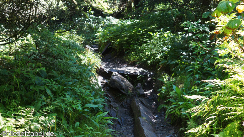 Appalachian Trail