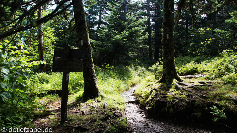 Appalachian Trail