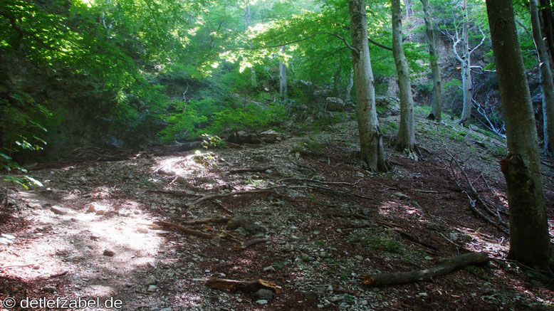 Paklencia National Park