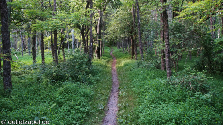 Appalachian Trail