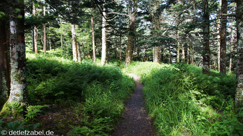 Appalachian Trail