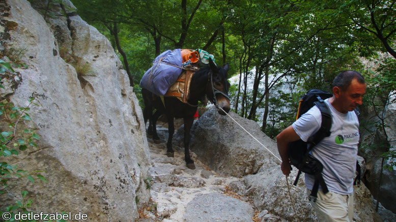 Paklencia National Park